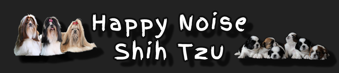Happy Noise Shih Tzu